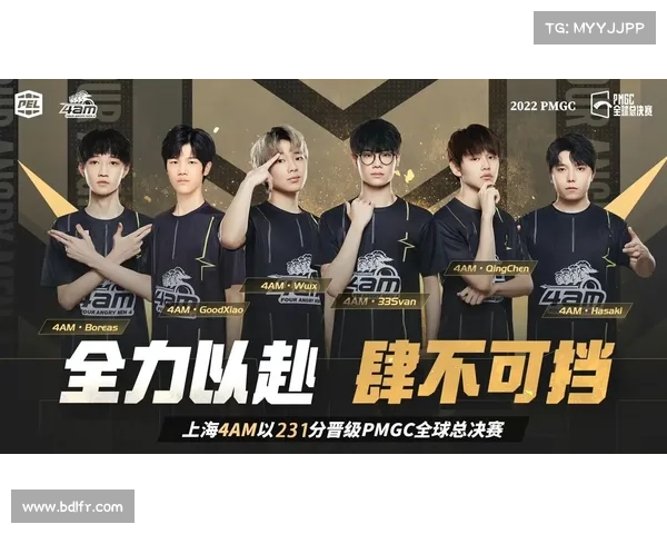 精英赛事 精英赛事全球嘉年华顶尖选手巅峰竞技共享荣耀激情盛宴